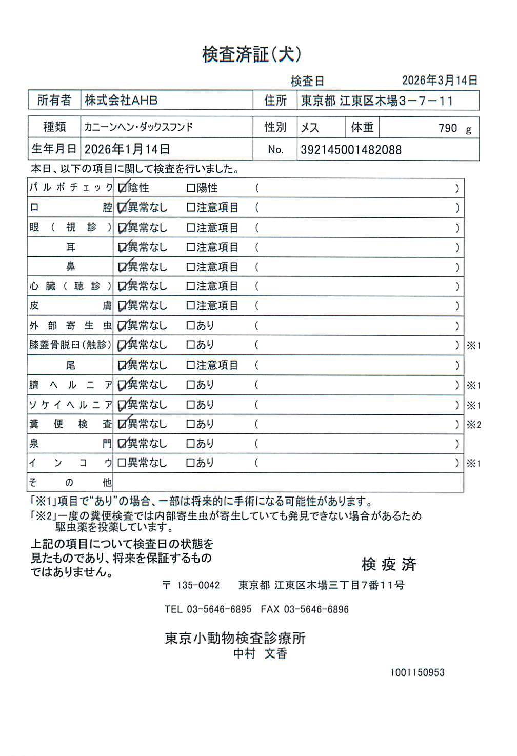 カニーンヘン・ダックスフンド