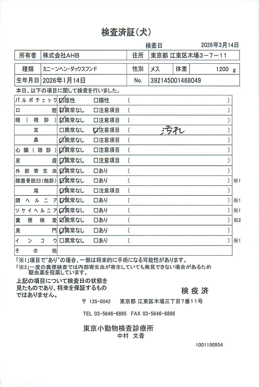 カニーンヘン・ダックスフンド