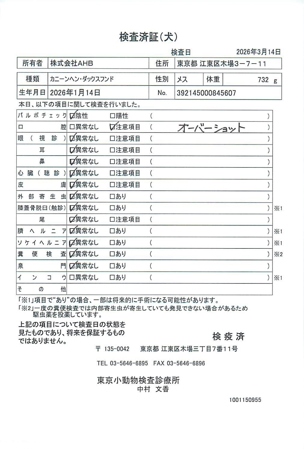 カニーンヘン・ダックスフンド