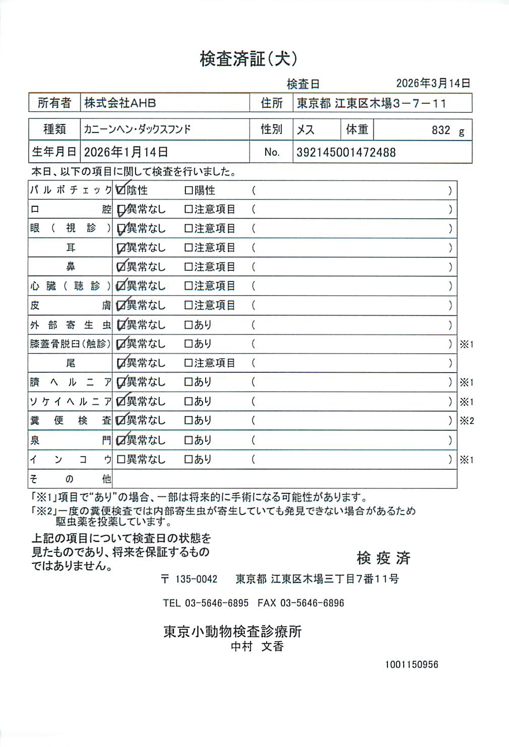 カニーンヘン・ダックスフンド