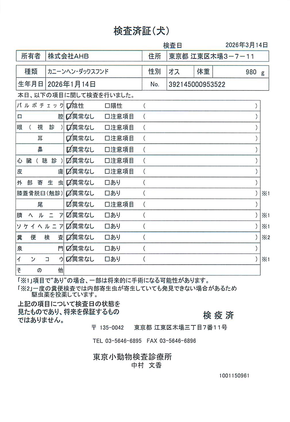 カニーンヘン・ダックスフンド