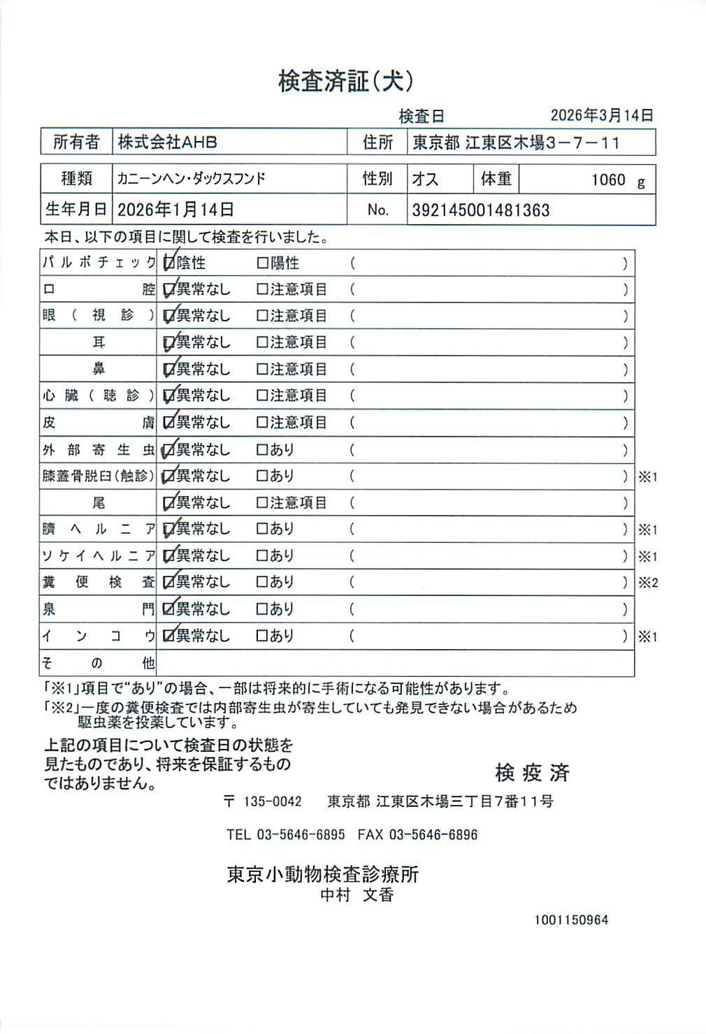 カニーンヘン・ダックスフンド