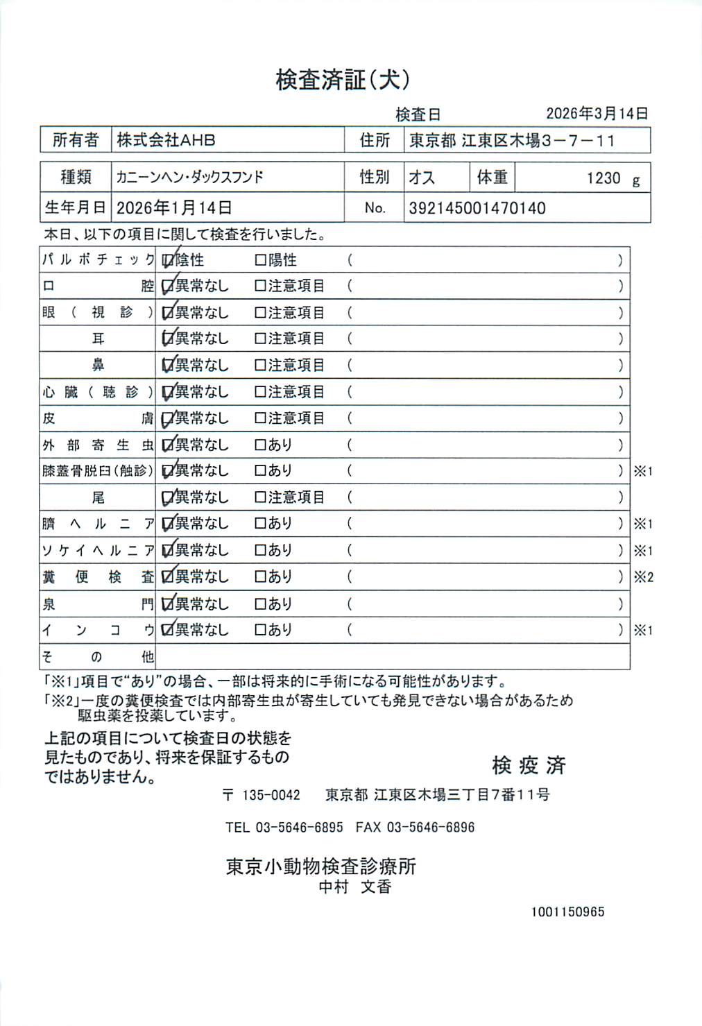 カニーンヘン・ダックスフンド