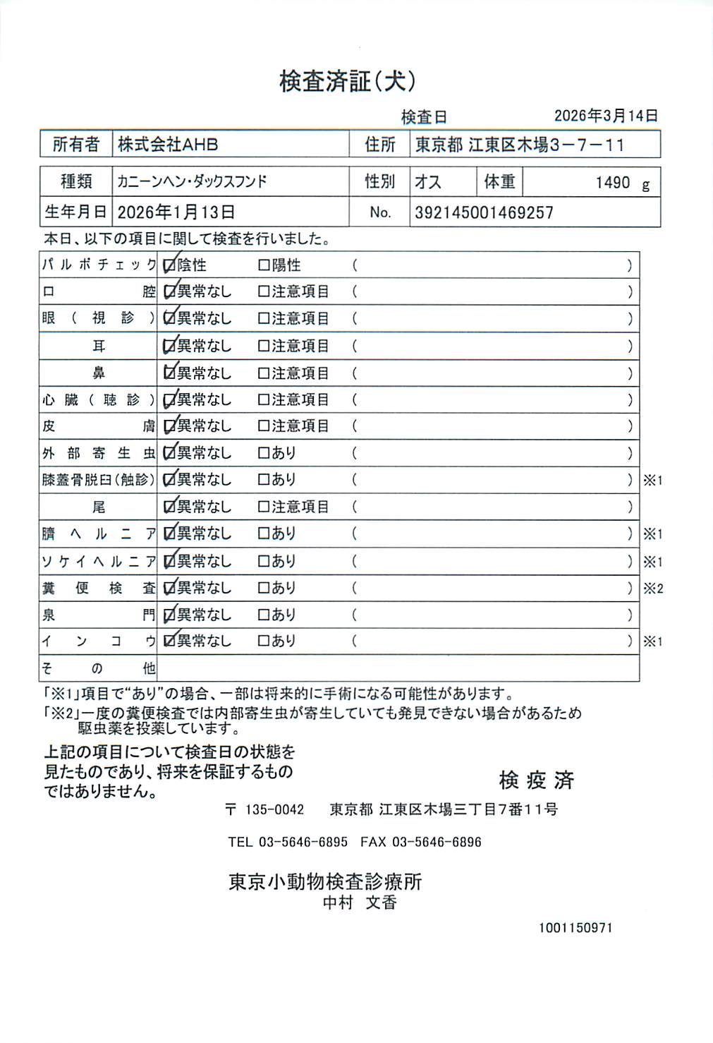 カニーンヘン・ダックスフンド