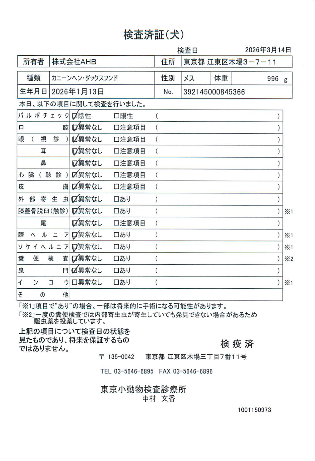 カニーンヘン・ダックスフンド