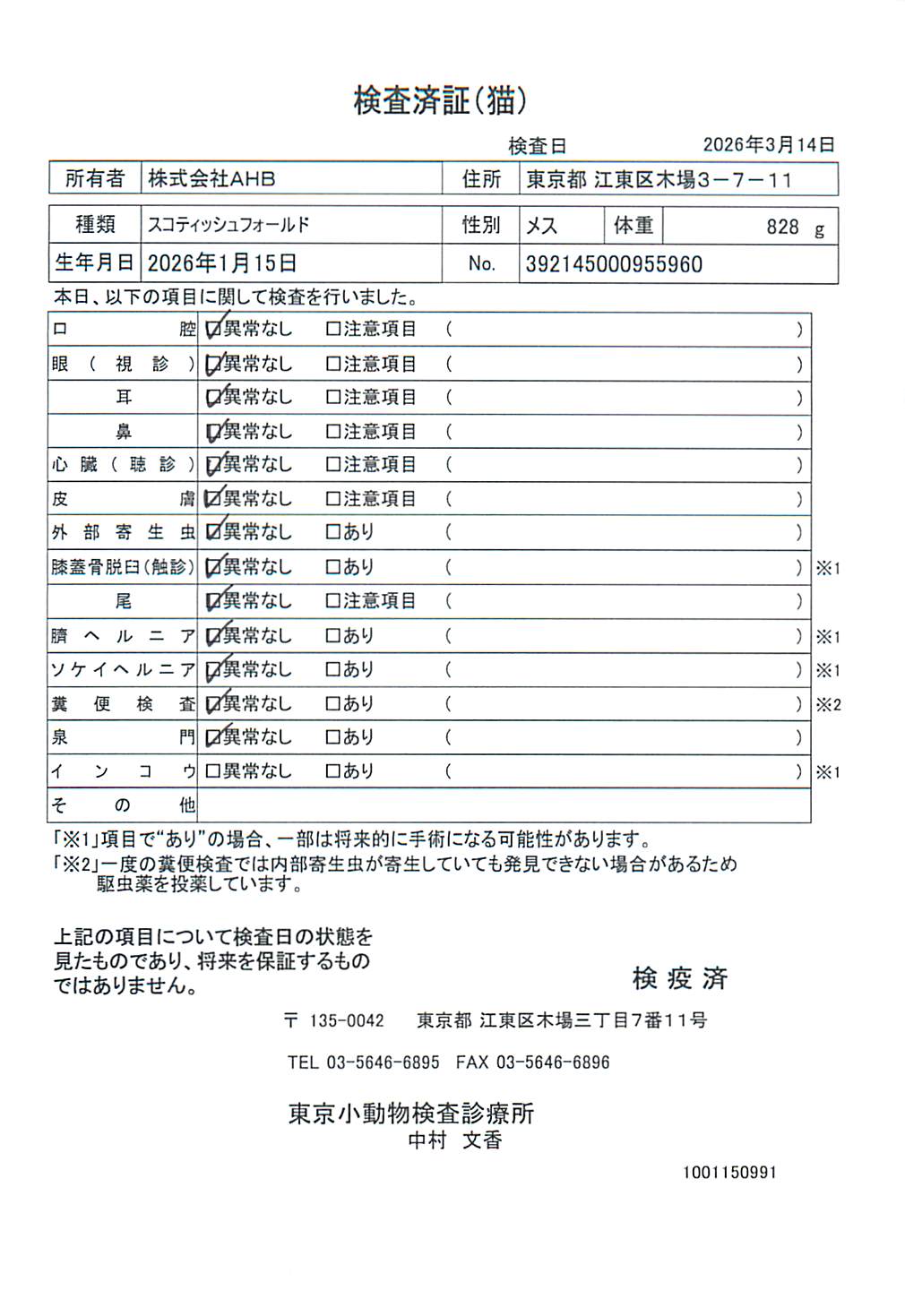スコティッシュフォールド
