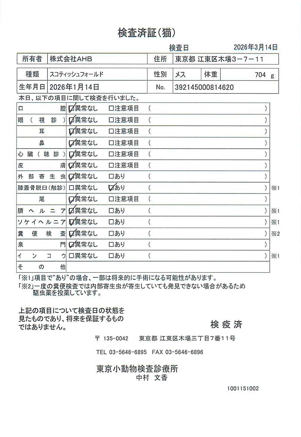 スコティッシュフォールド