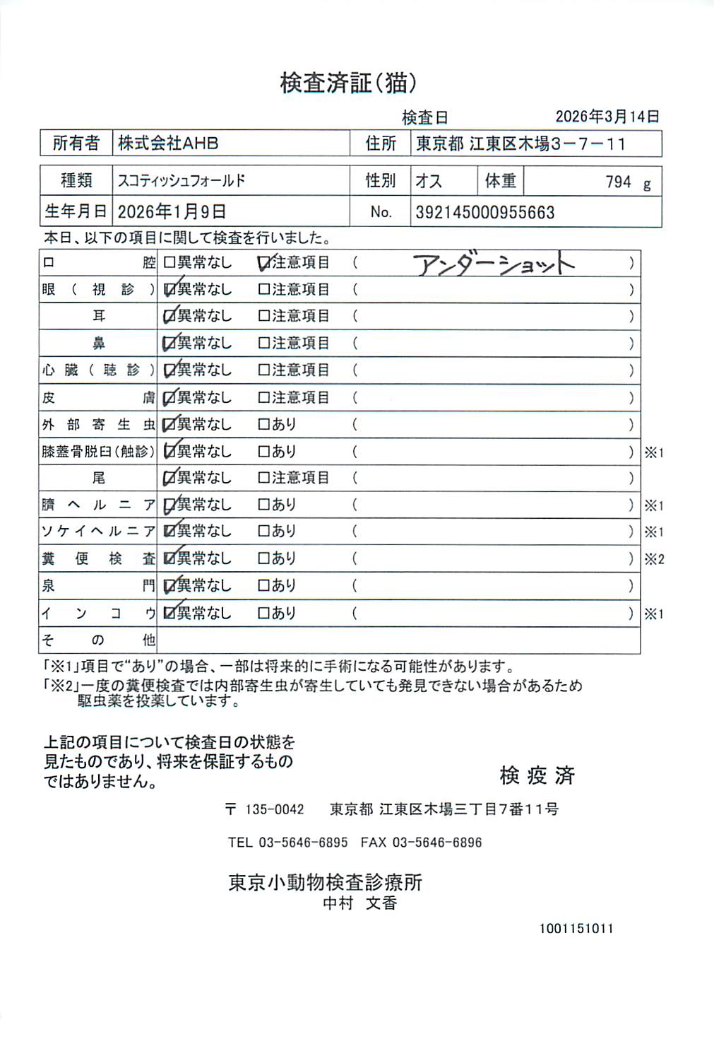 スコティッシュフォールド