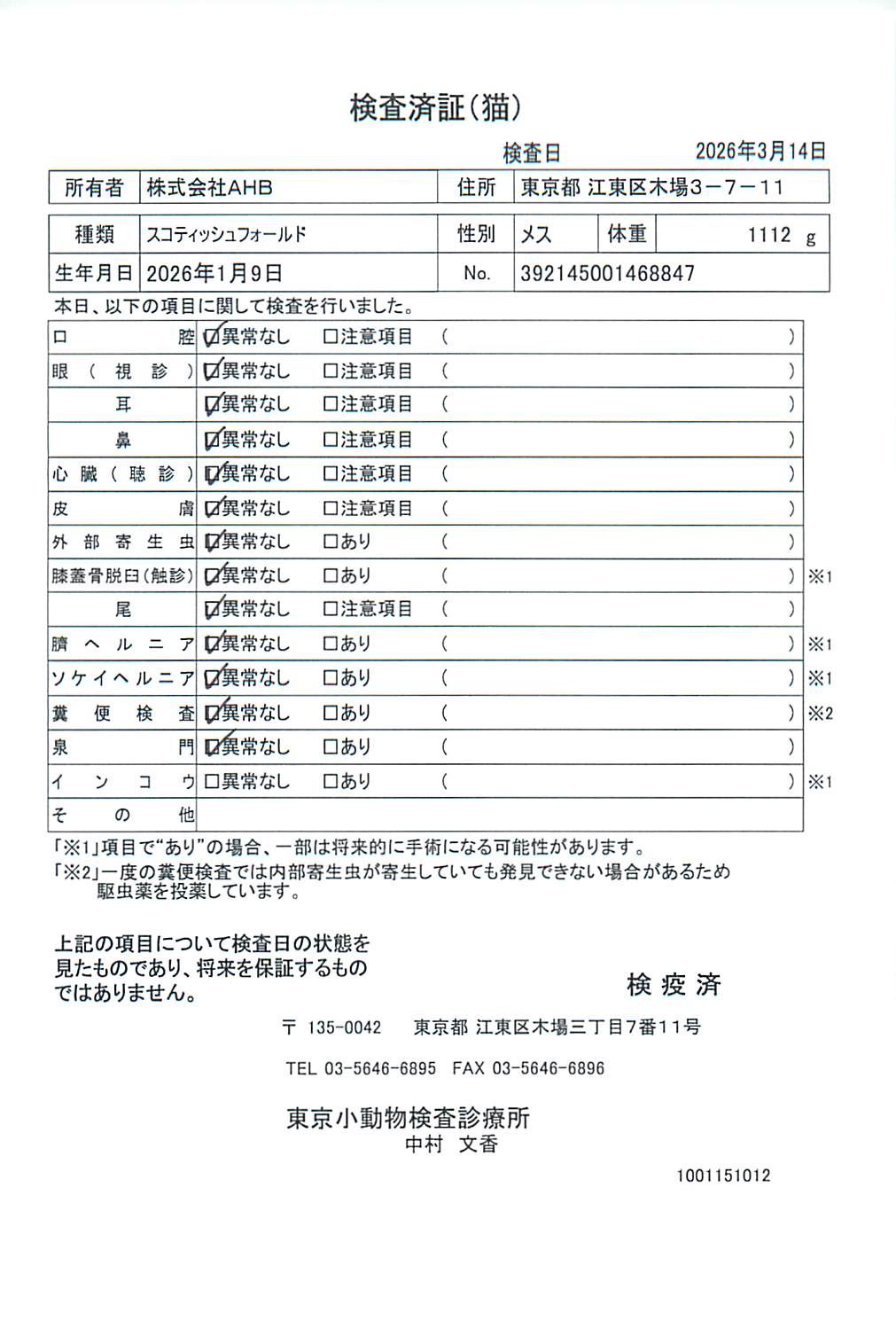 スコティッシュフォールド