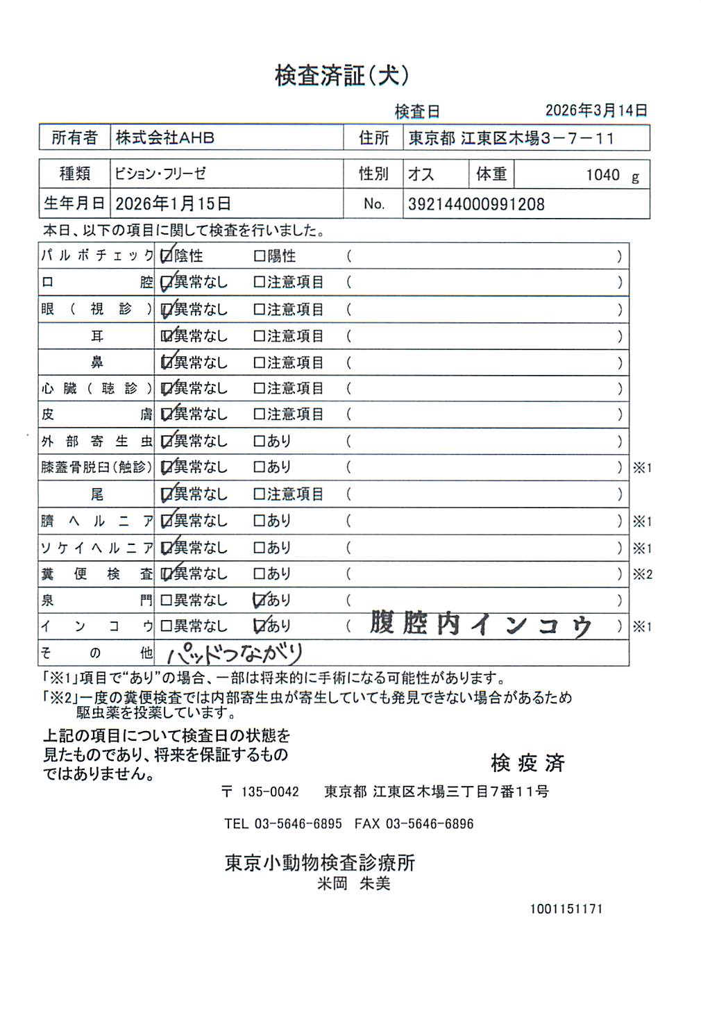 ビション・フリーゼ