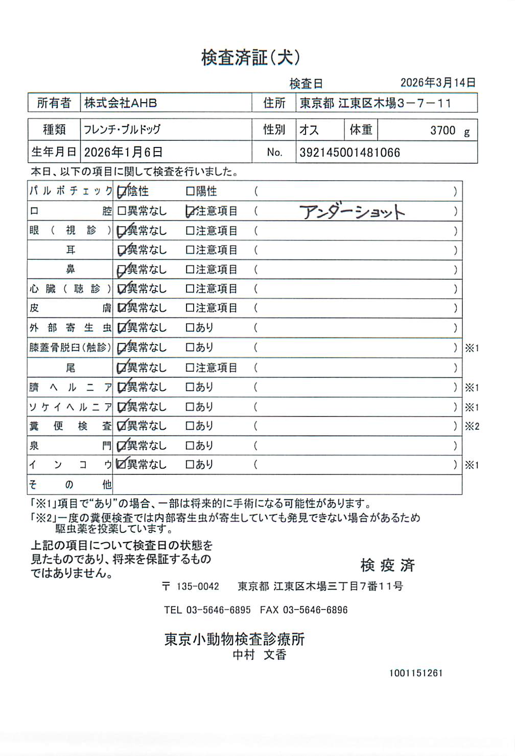 フレンチ・ブルドッグ