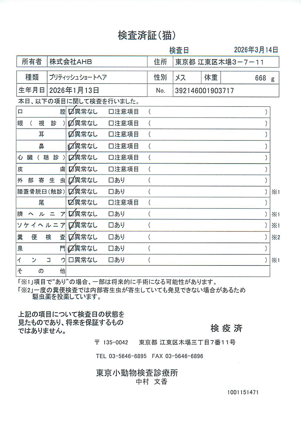 ブリティッシュショートヘア