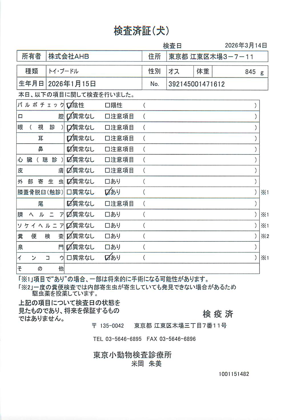 トイ・プードル