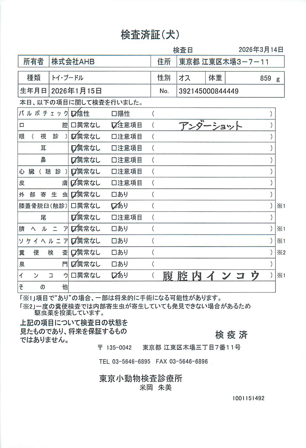 トイ・プードル