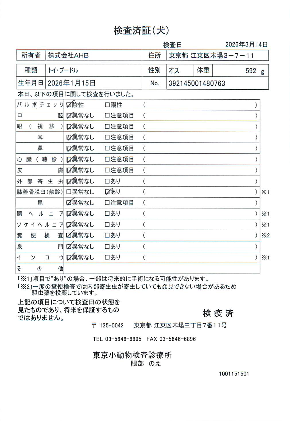 トイ・プードル