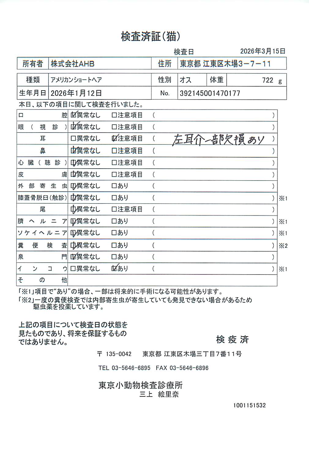 アメリカンショートヘア