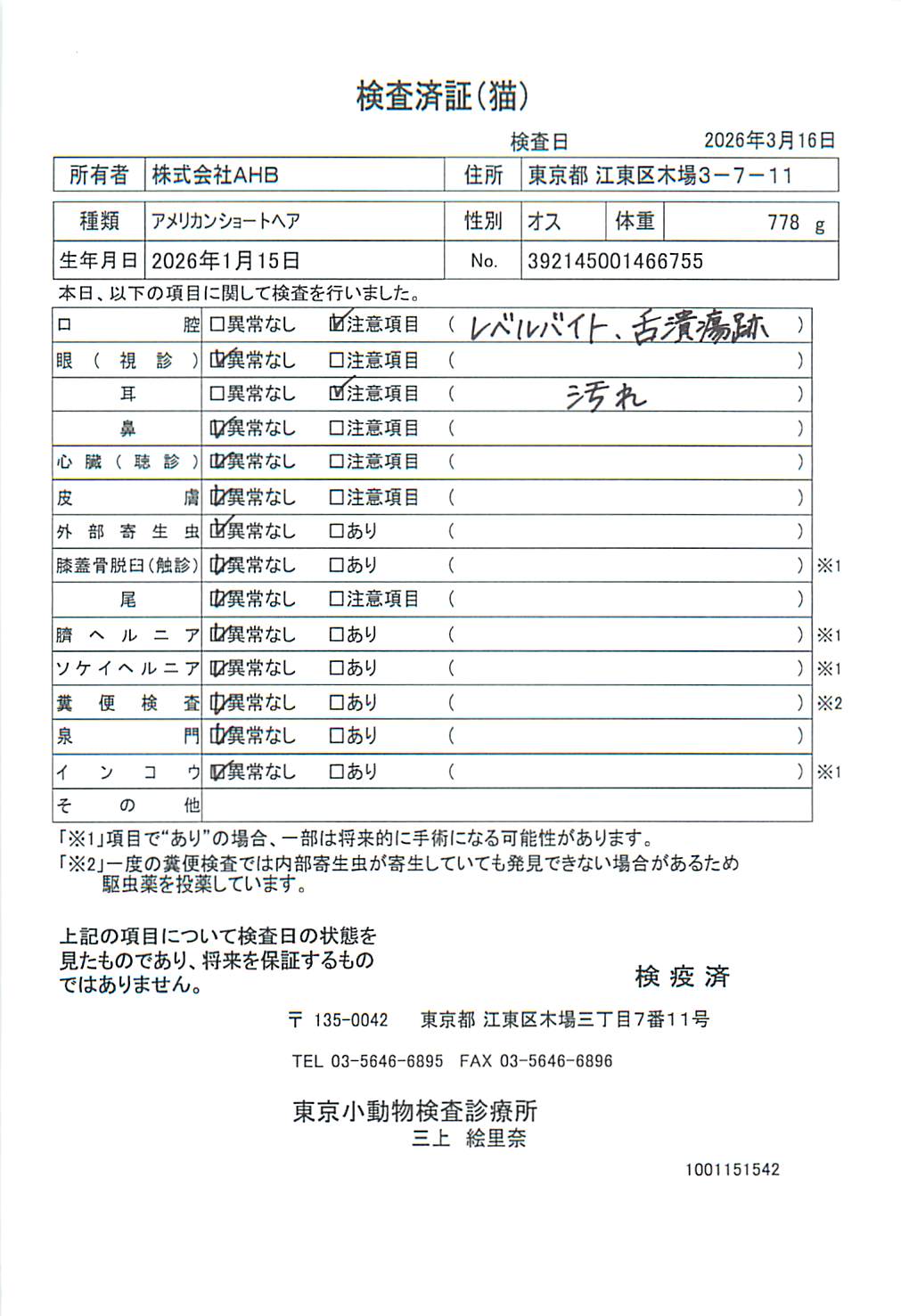 アメリカンショートヘア