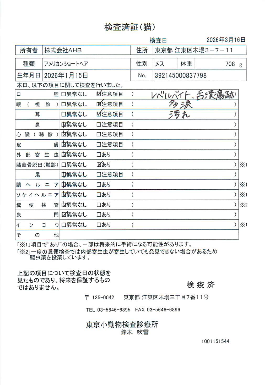 アメリカンショートヘア