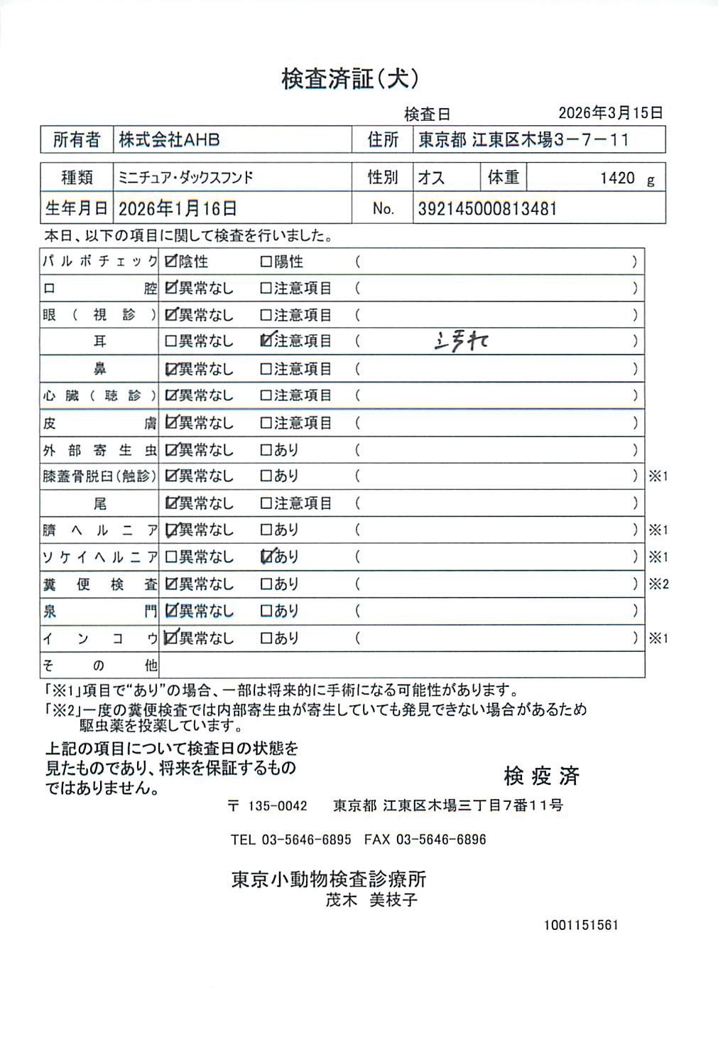 ミニチュア・ダックスフンド