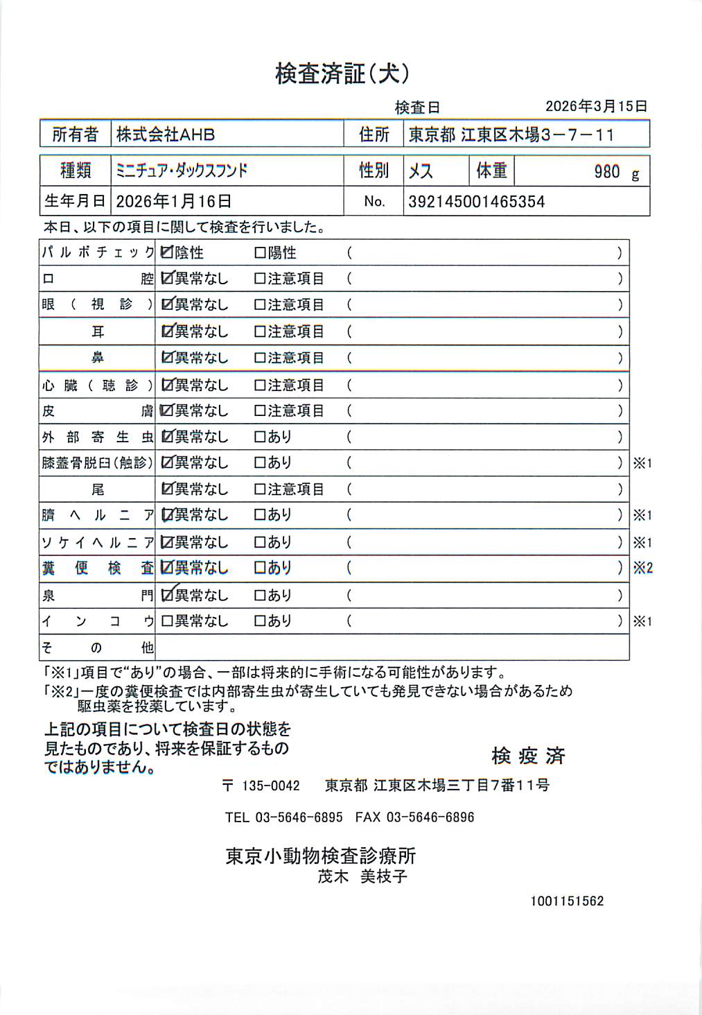 ミニチュア・ダックスフンド