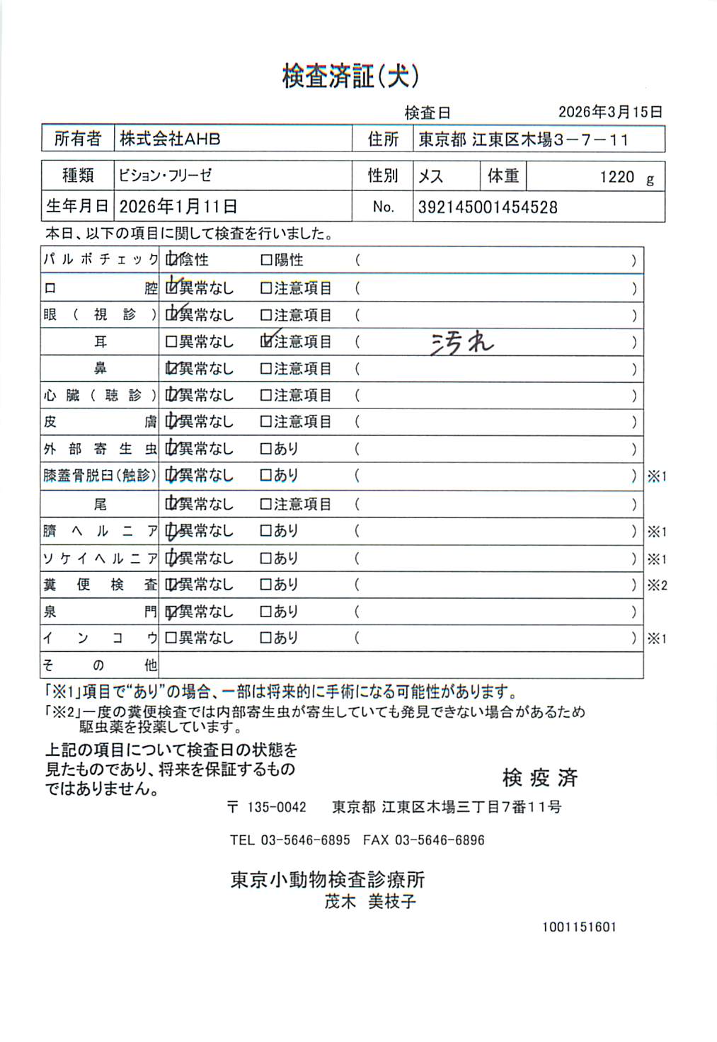 ビション・フリーゼ