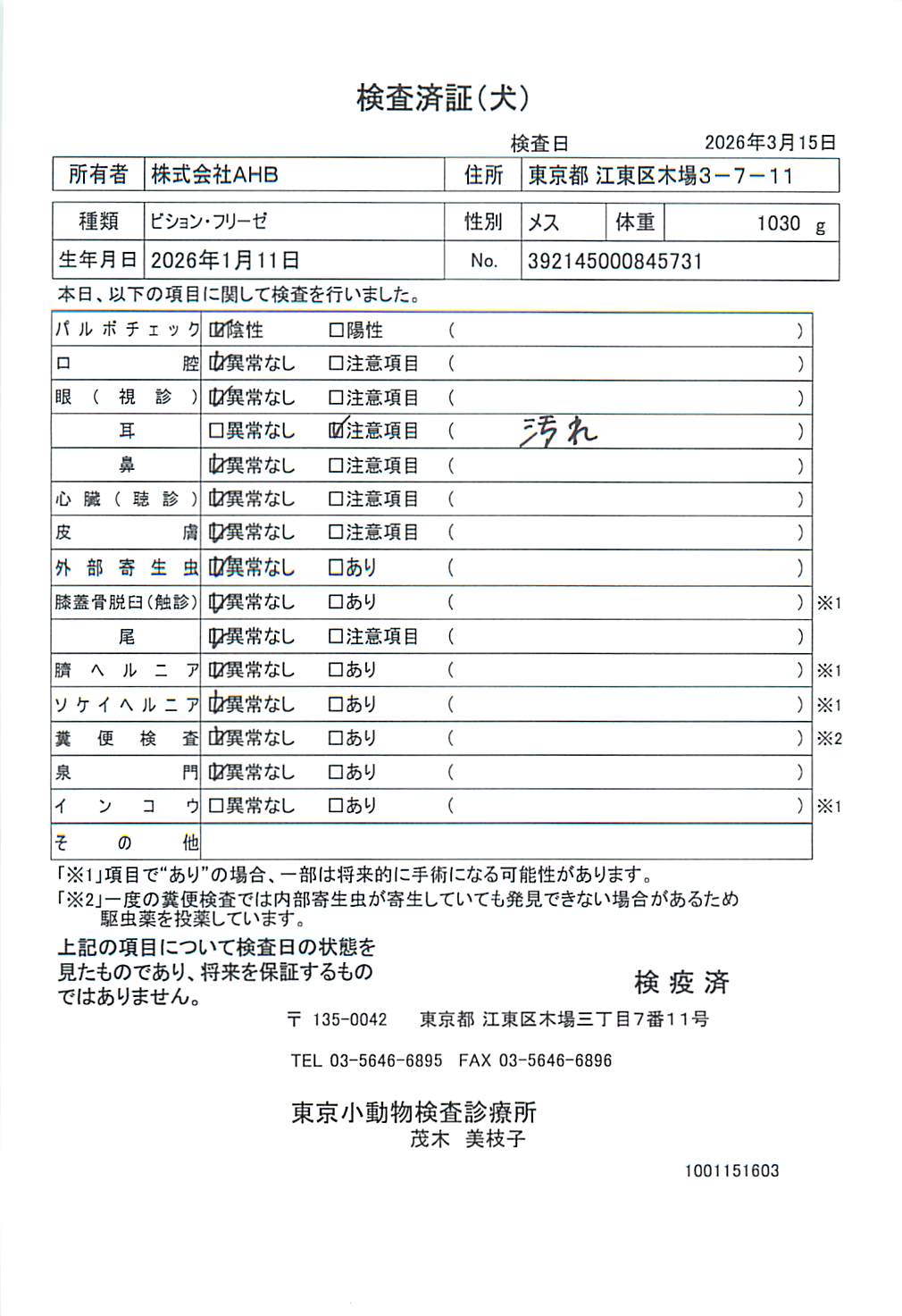 ビション・フリーゼ