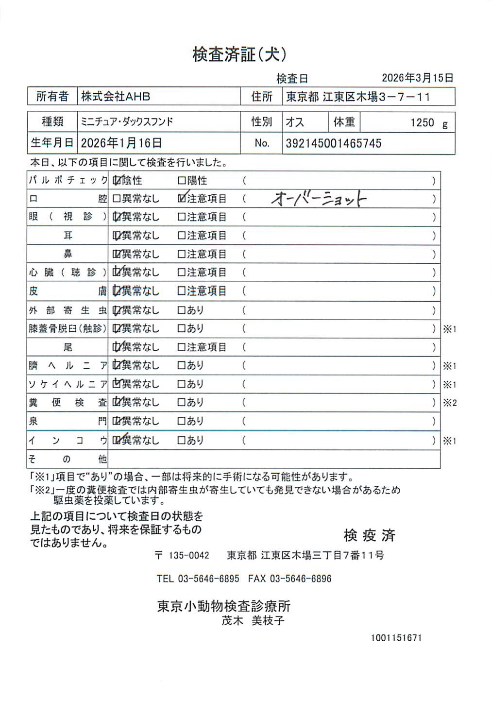 ミニチュア・ダックスフンド