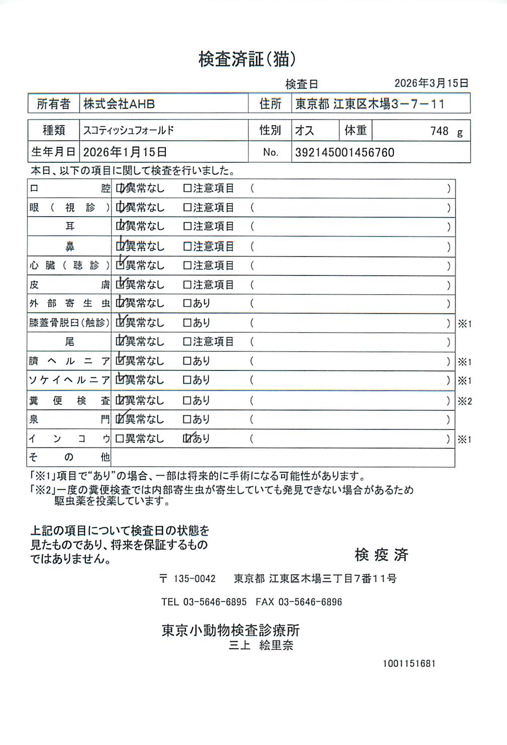 スコティッシュフォールド