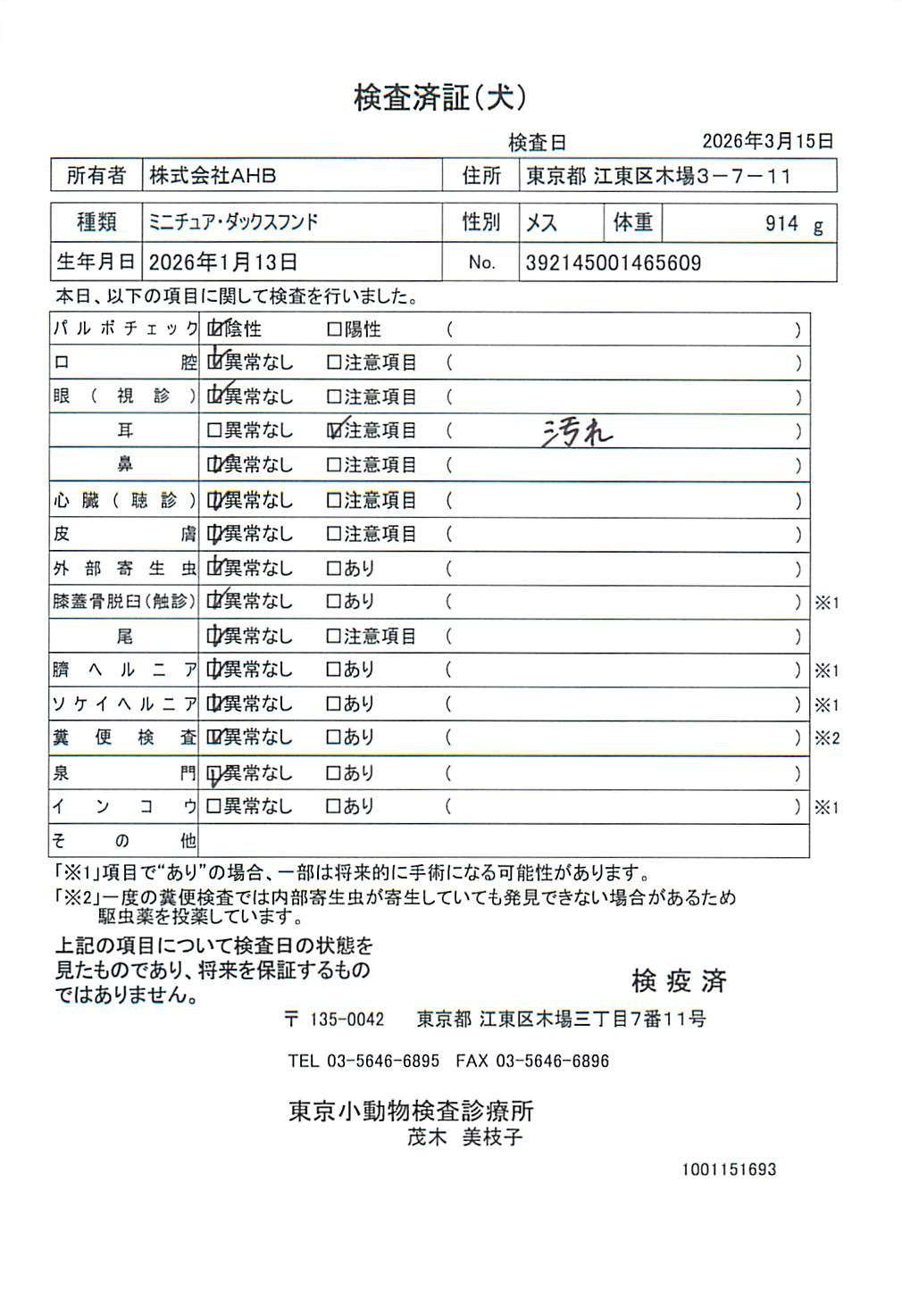ミニチュア・ダックスフンド
