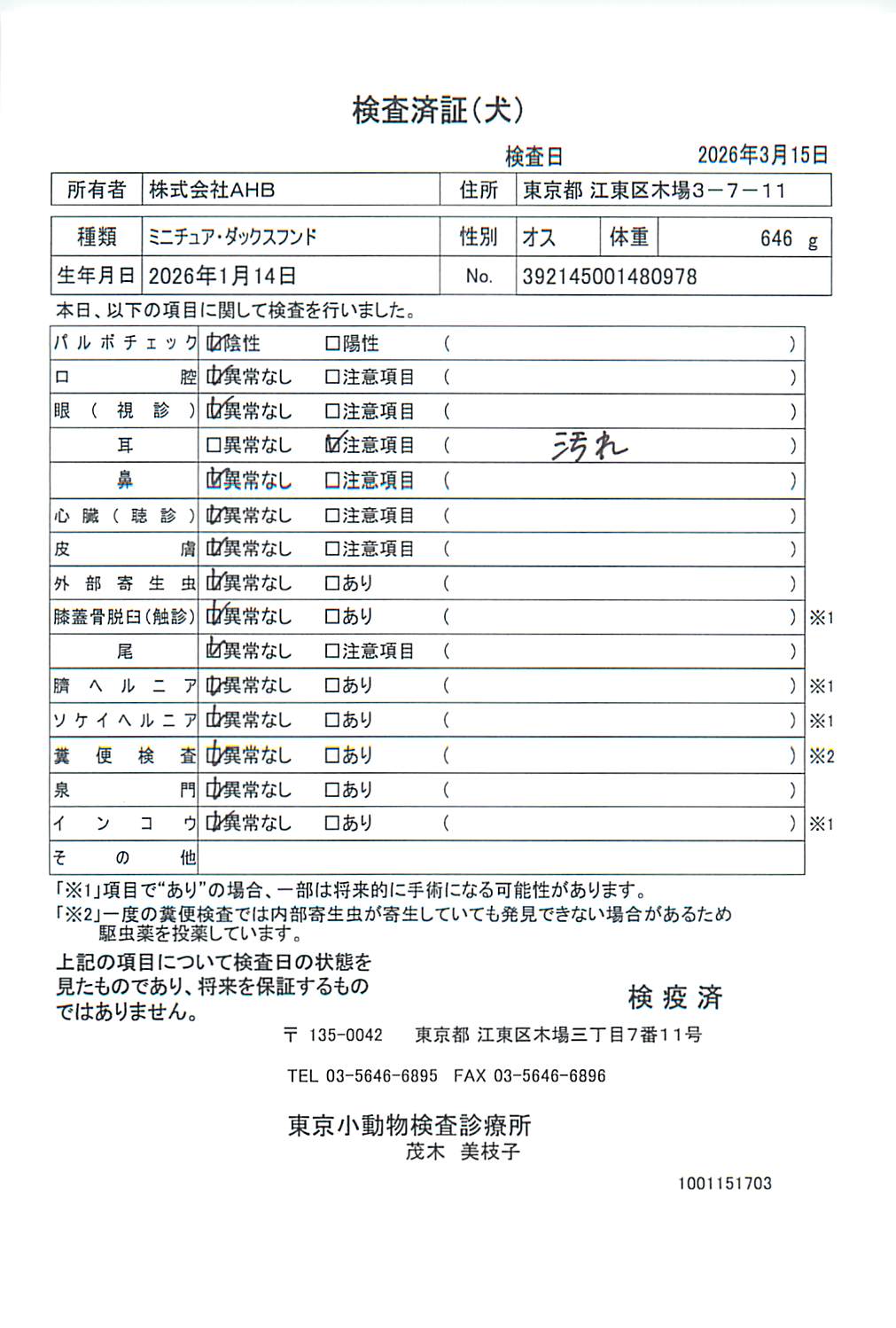 ミニチュア・ダックスフンド