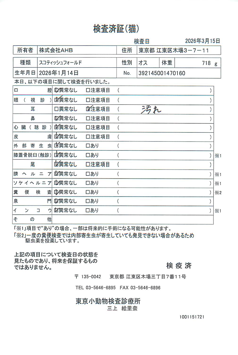 スコティッシュフォールド