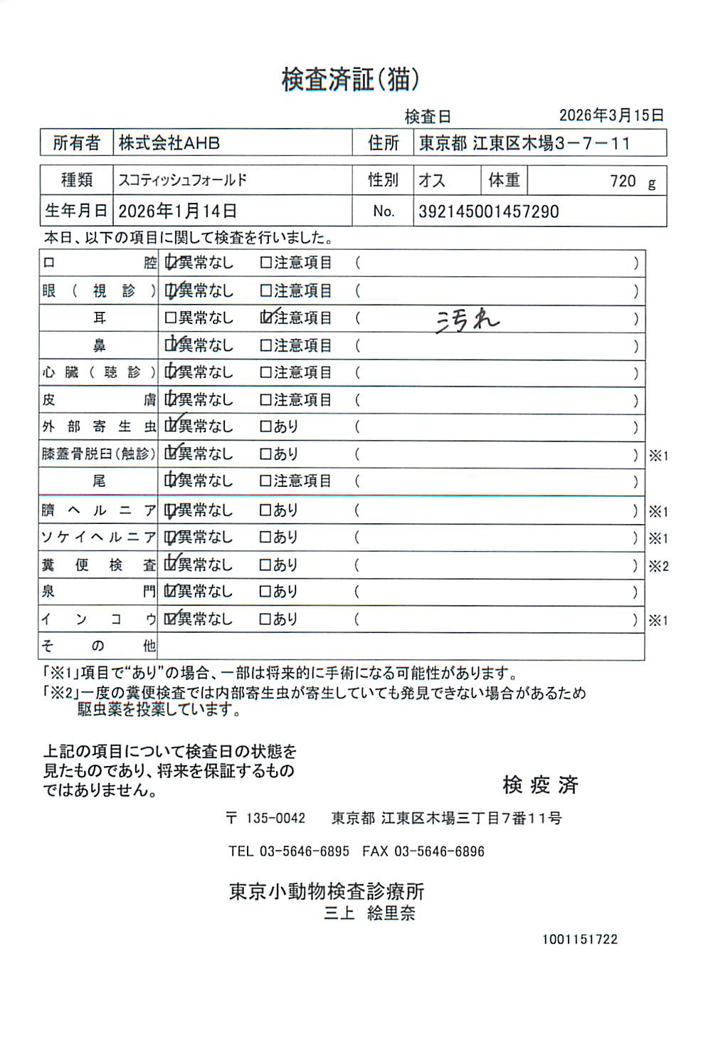 スコティッシュフォールド