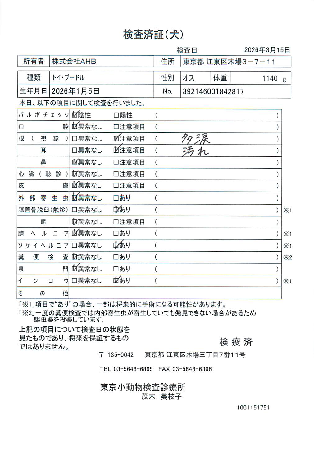 トイ・プードル