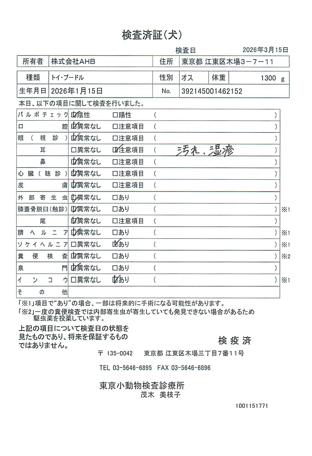 トイ・プードル