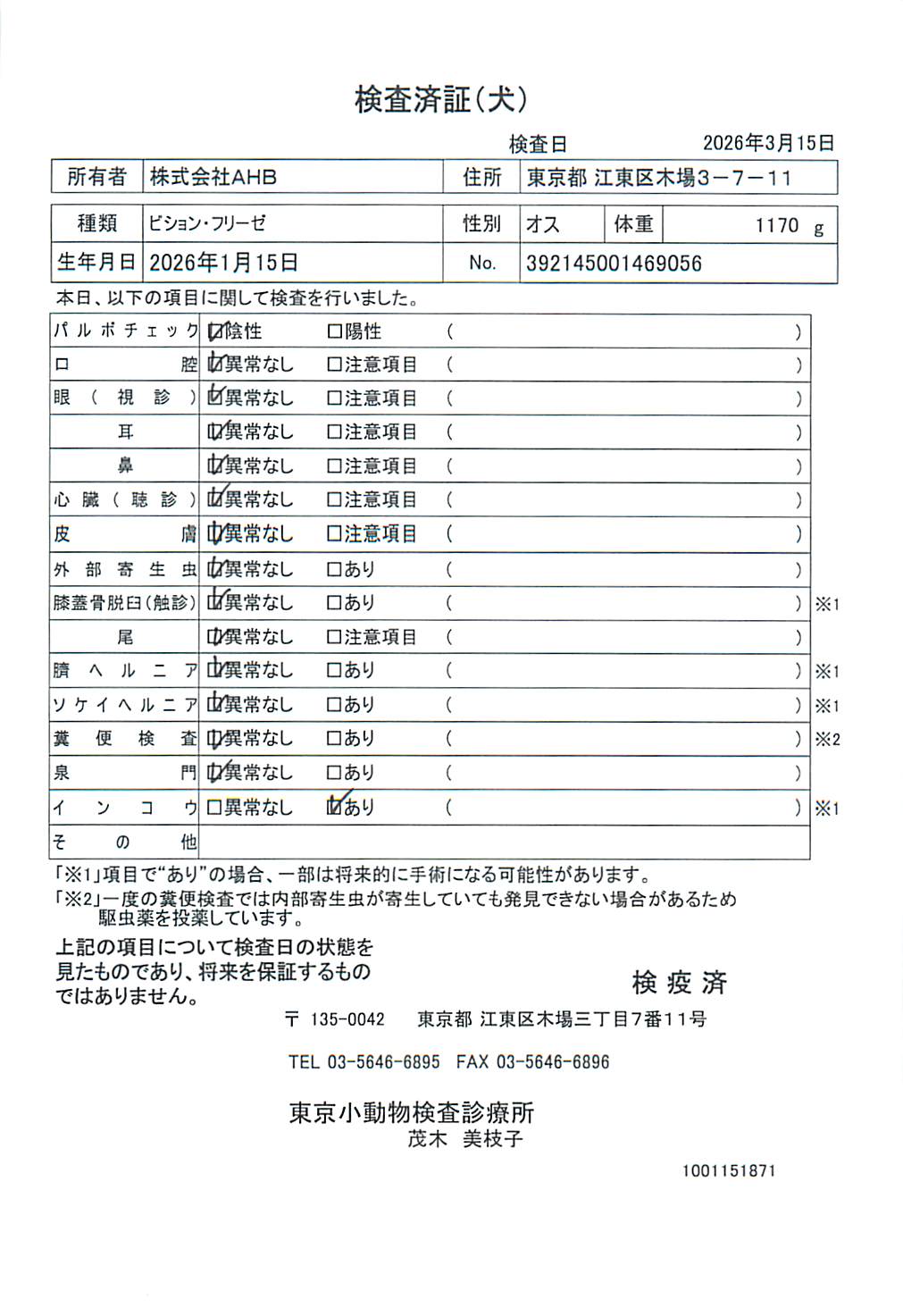 ビション・フリーゼ