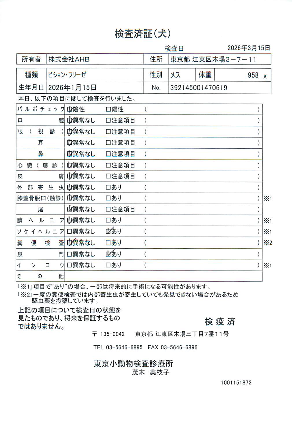 ビション・フリーゼ