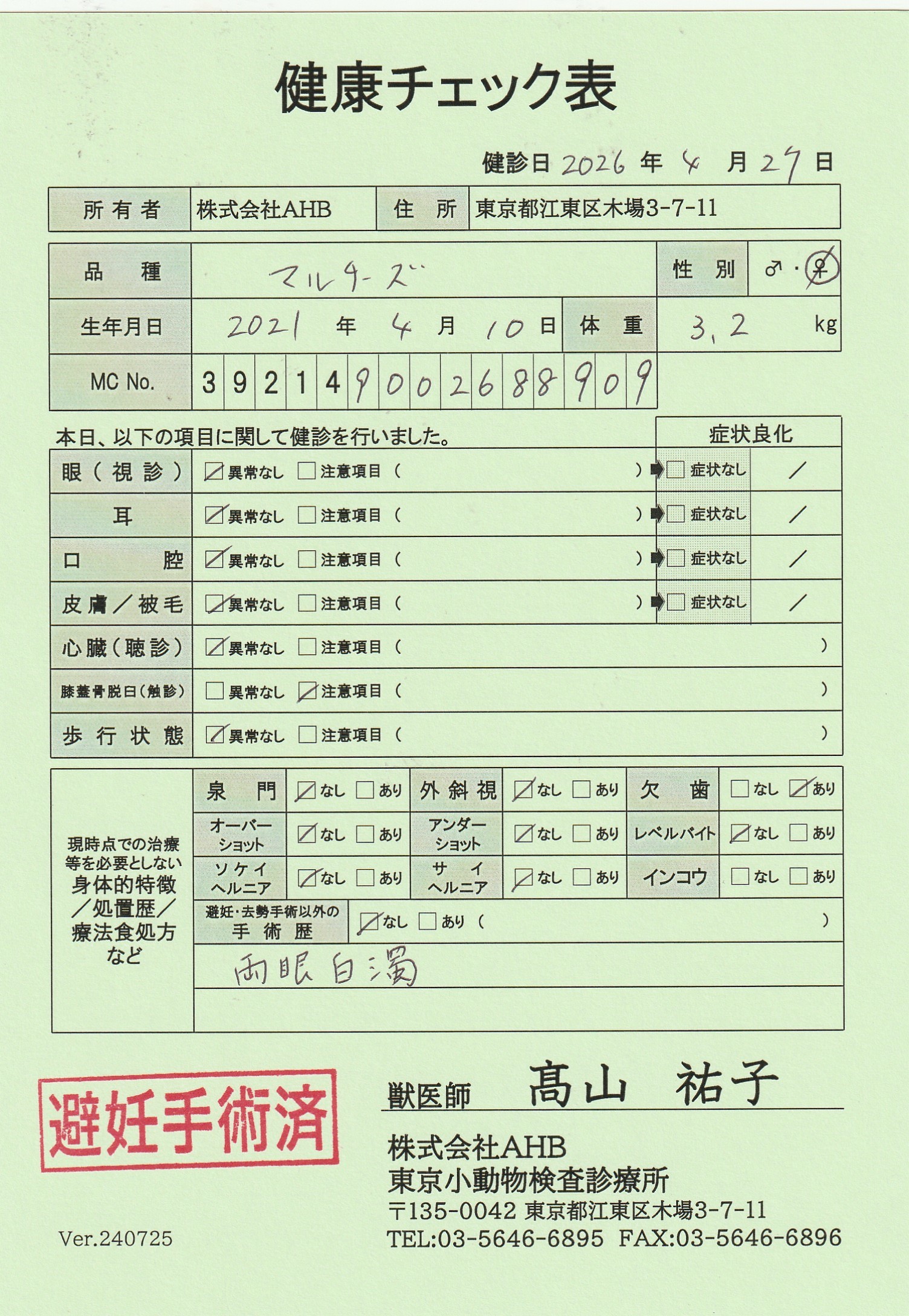 マルチーズ