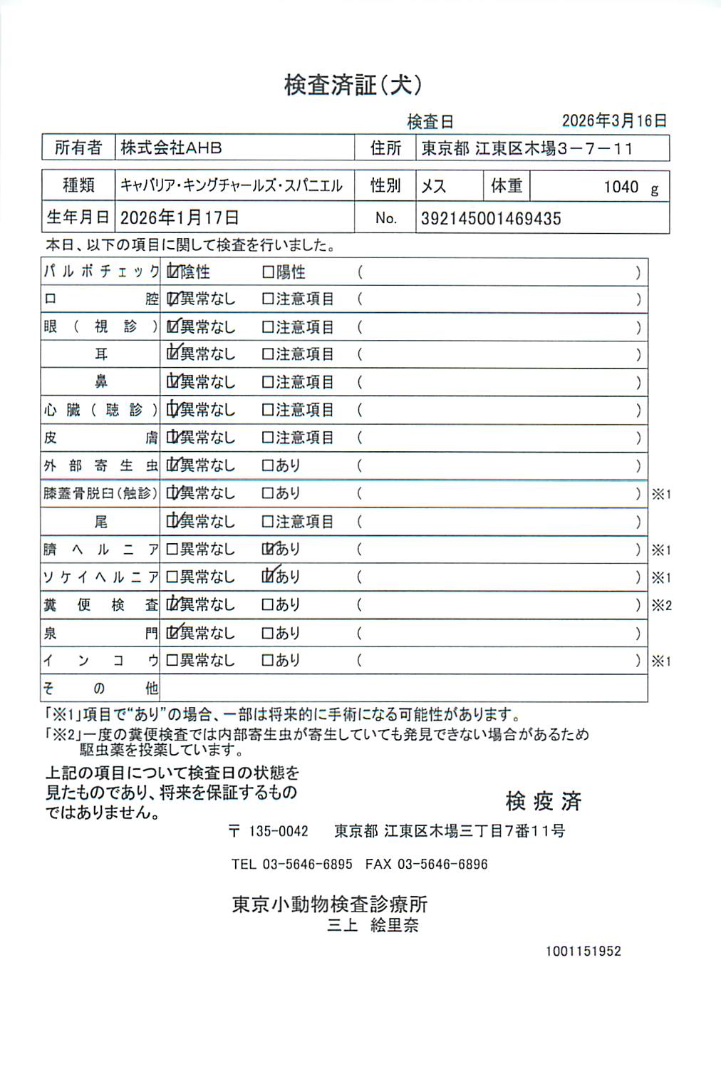 キャバリア・キングチャールズ・スパニエル