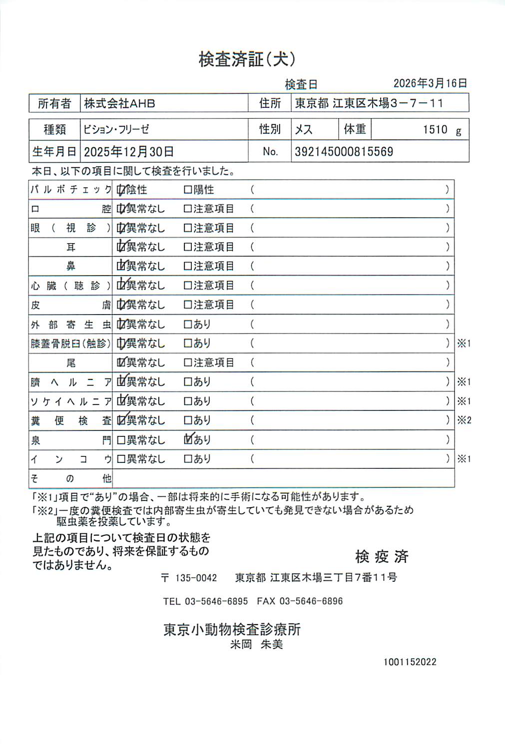 ビション・フリーゼ