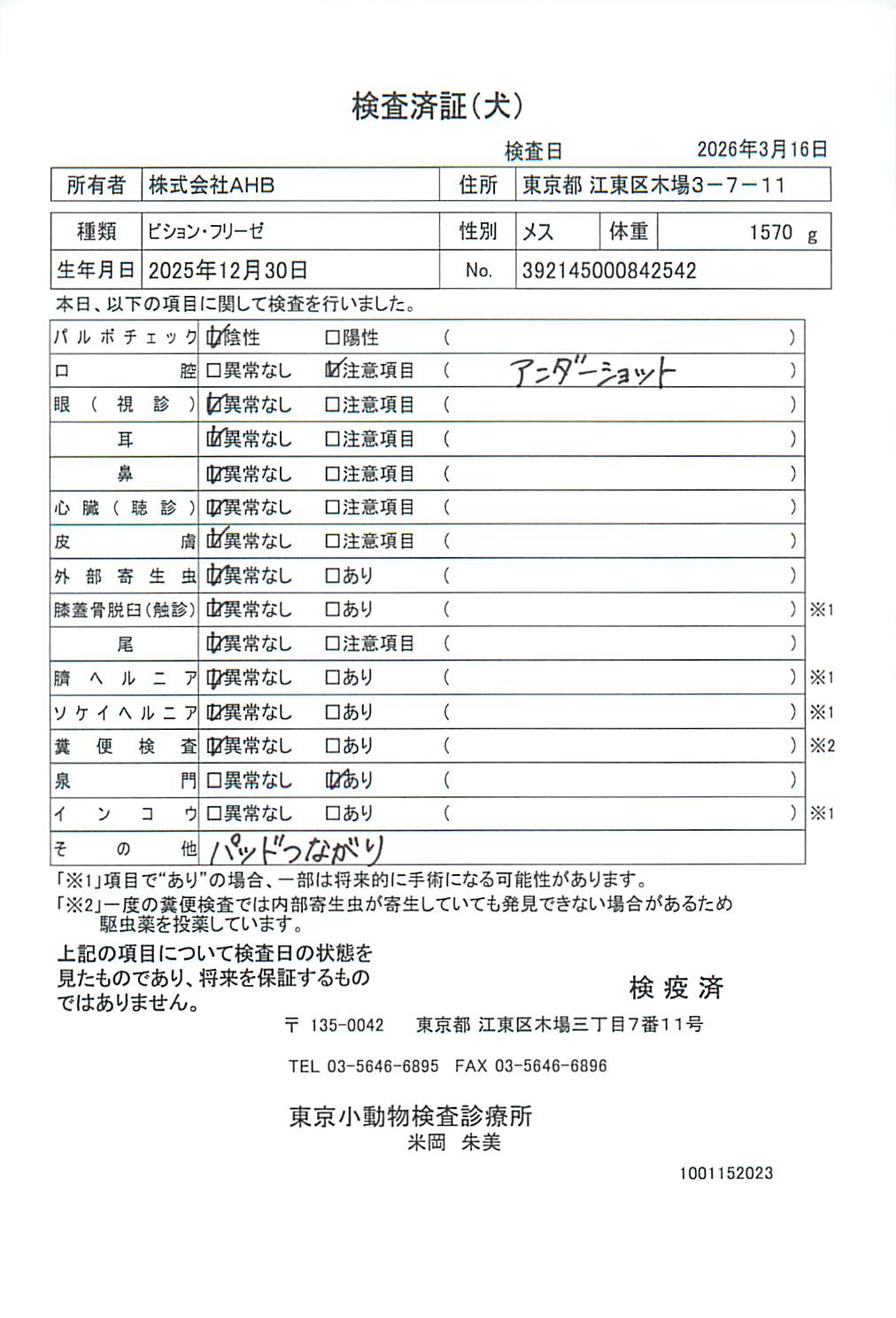 ビション・フリーゼ