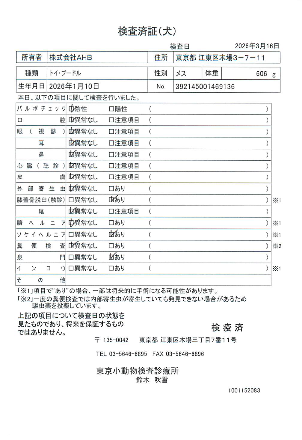 トイ・プードル