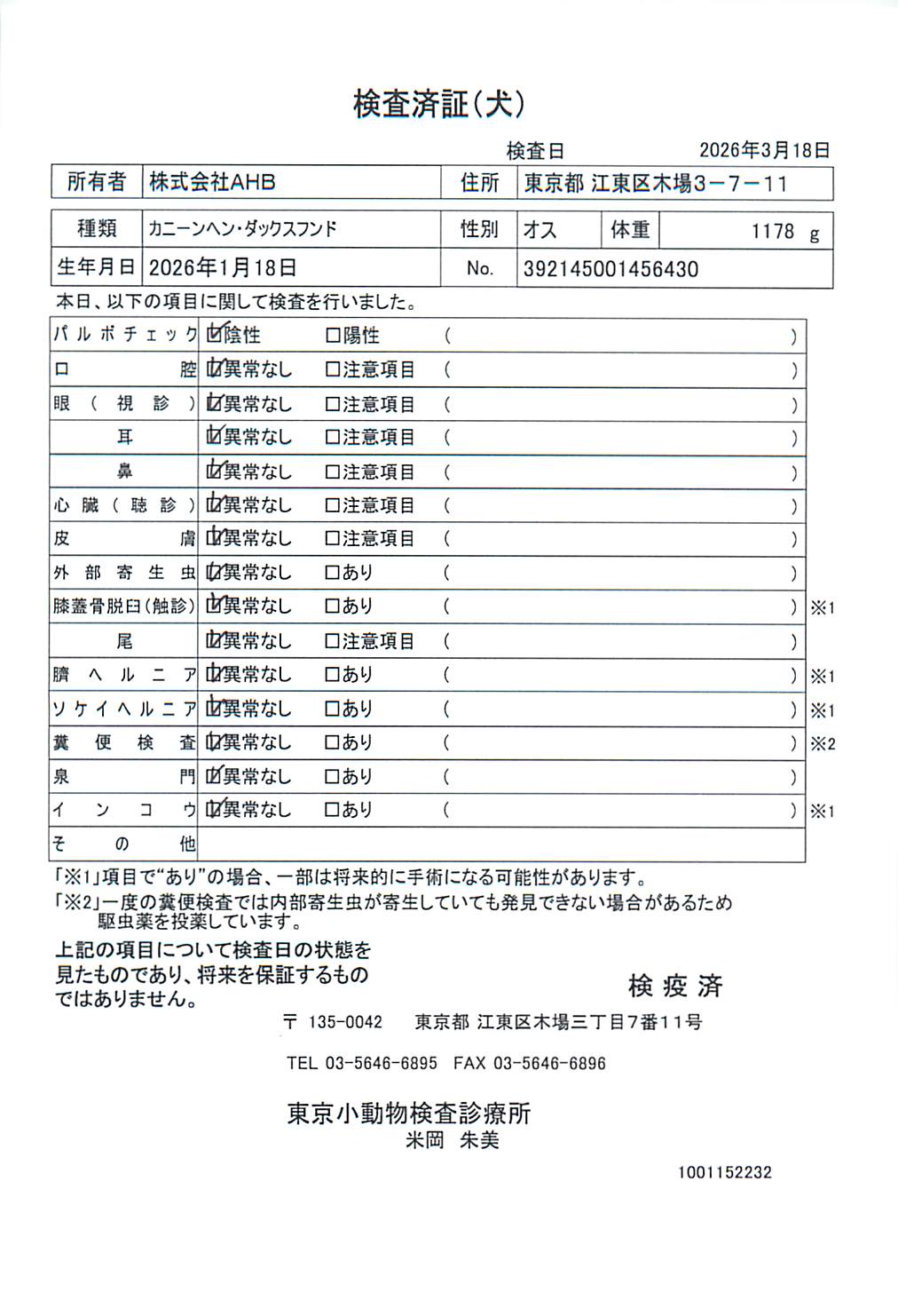 カニーンヘン・ダックスフンド