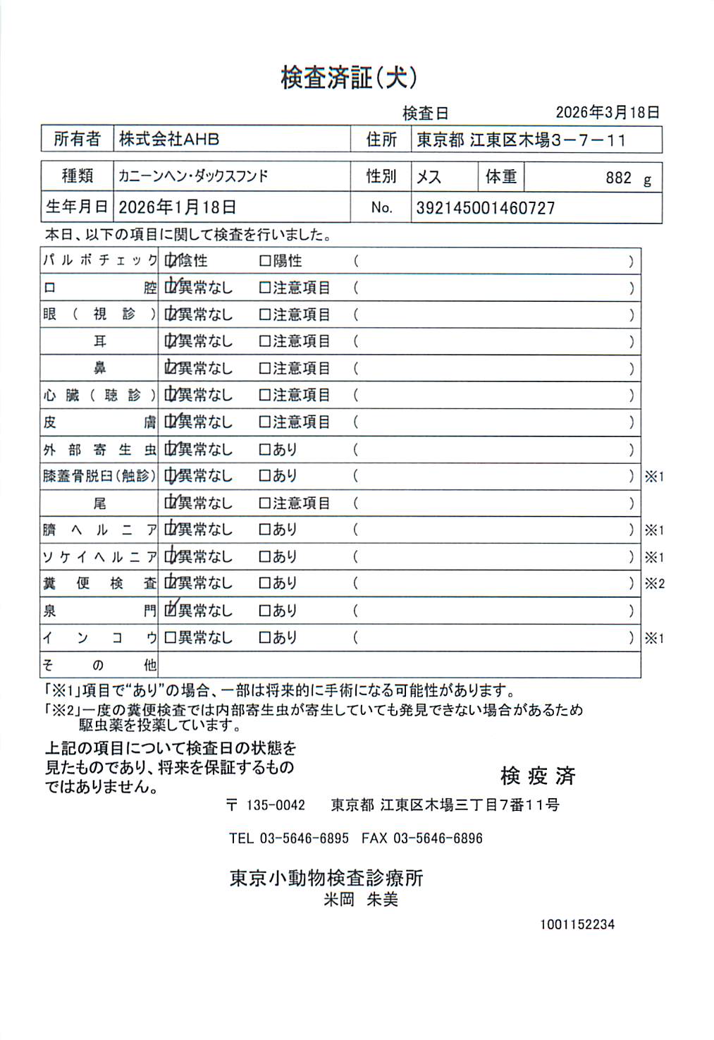 カニーンヘン・ダックスフンド