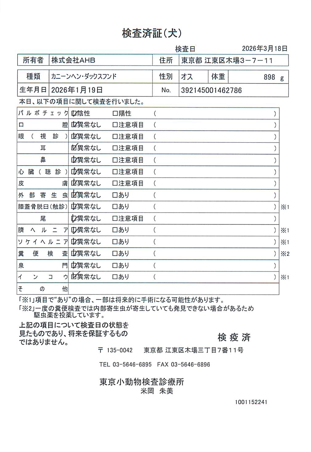 カニーンヘン・ダックスフンド