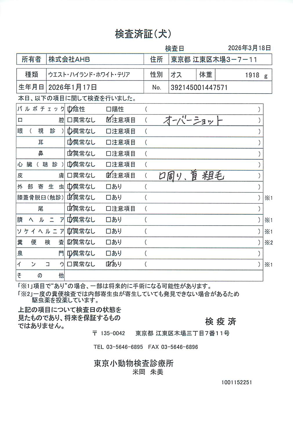 ウエスト・ハイランド・ホワイト・テリア