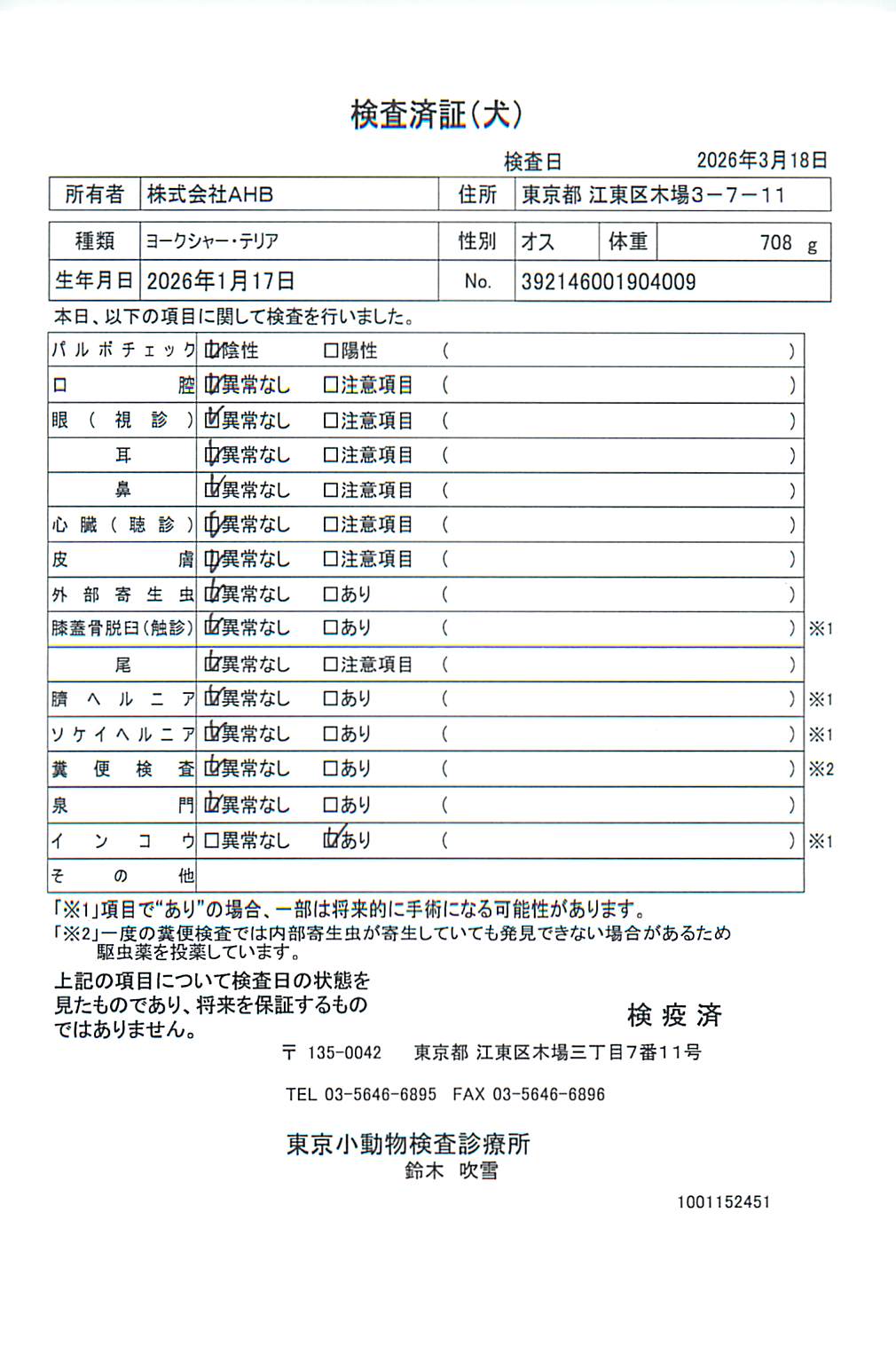 ヨークシャー・テリア