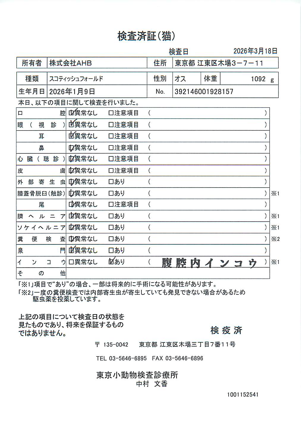 スコティッシュフォールド