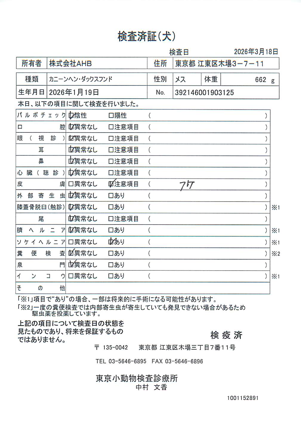 カニーンヘン・ダックスフンド
