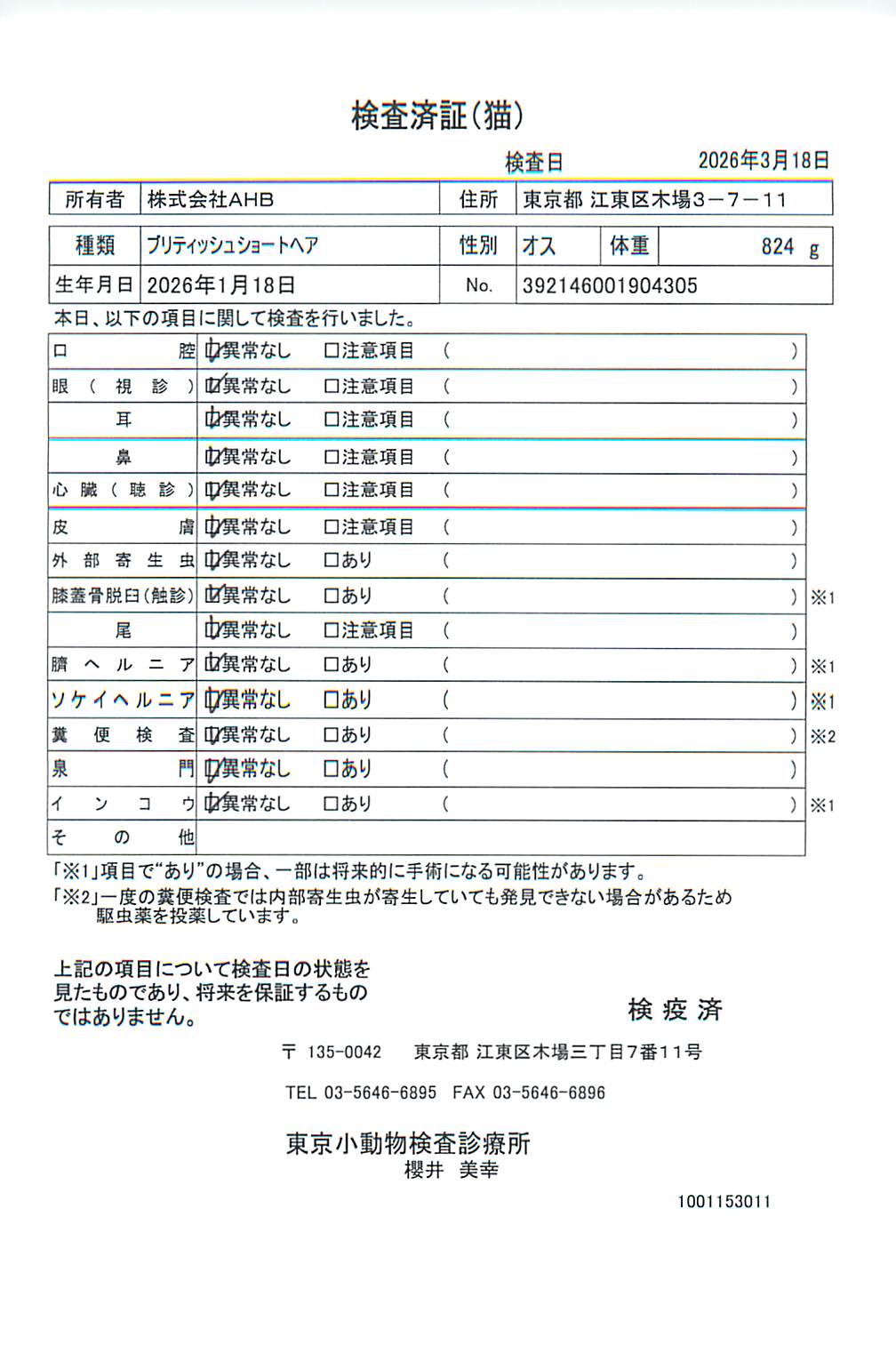 ブリティッシュショートヘア