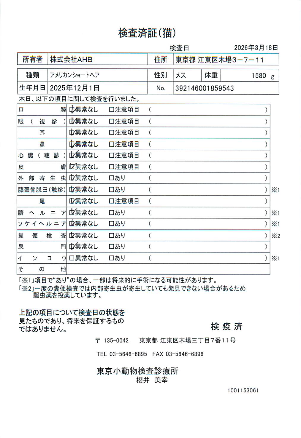 アメリカンショートヘア